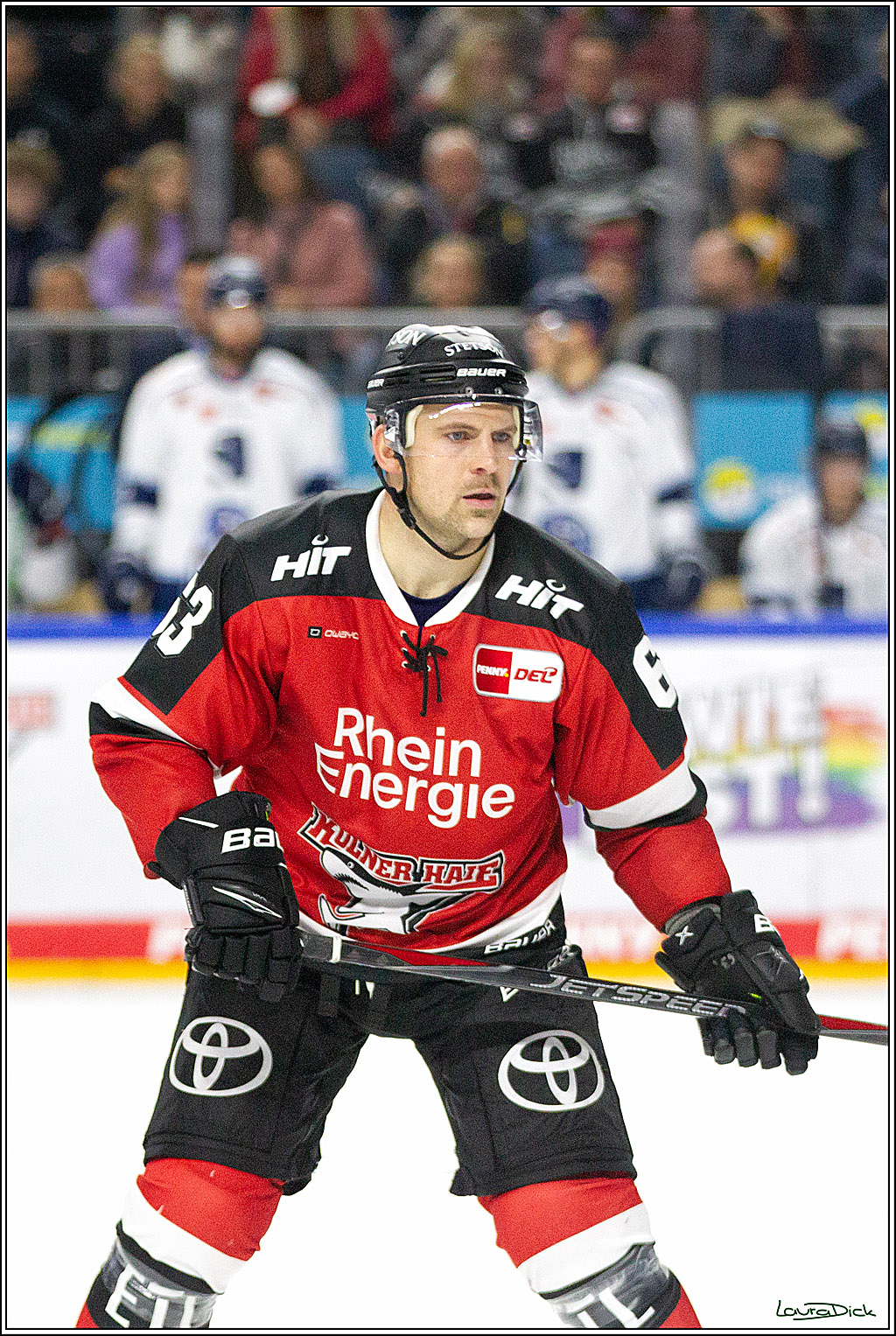 PENNY DEL;  Koelner Haie - Straubing Tigers; Koeln, 15.10.2021